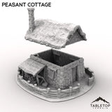 Tabletop Terrain Building Peasant Cottage