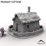 Tabletop Terrain Building Peasant Cottage