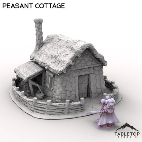 Tabletop Terrain Building Peasant Cottage