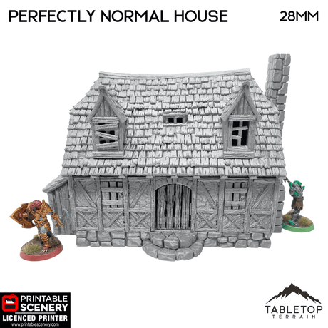 Tabletop Terrain Building Perfectly Normal House - Fantasy Building