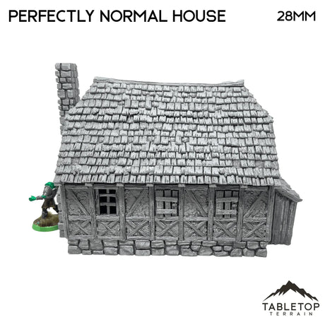 Tabletop Terrain Building Perfectly Normal House - Fantasy Building