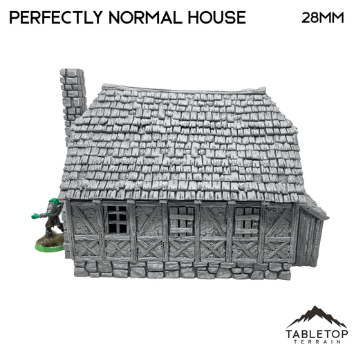 Tabletop Terrain Building Perfectly Normal House - Fantasy Building Tabletop Terrain