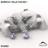 Tabletop Terrain Building Ruined / 32mm Burrow Hills House 1