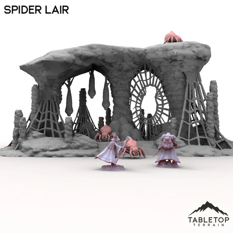 Tabletop Terrain Building Spider Lair
