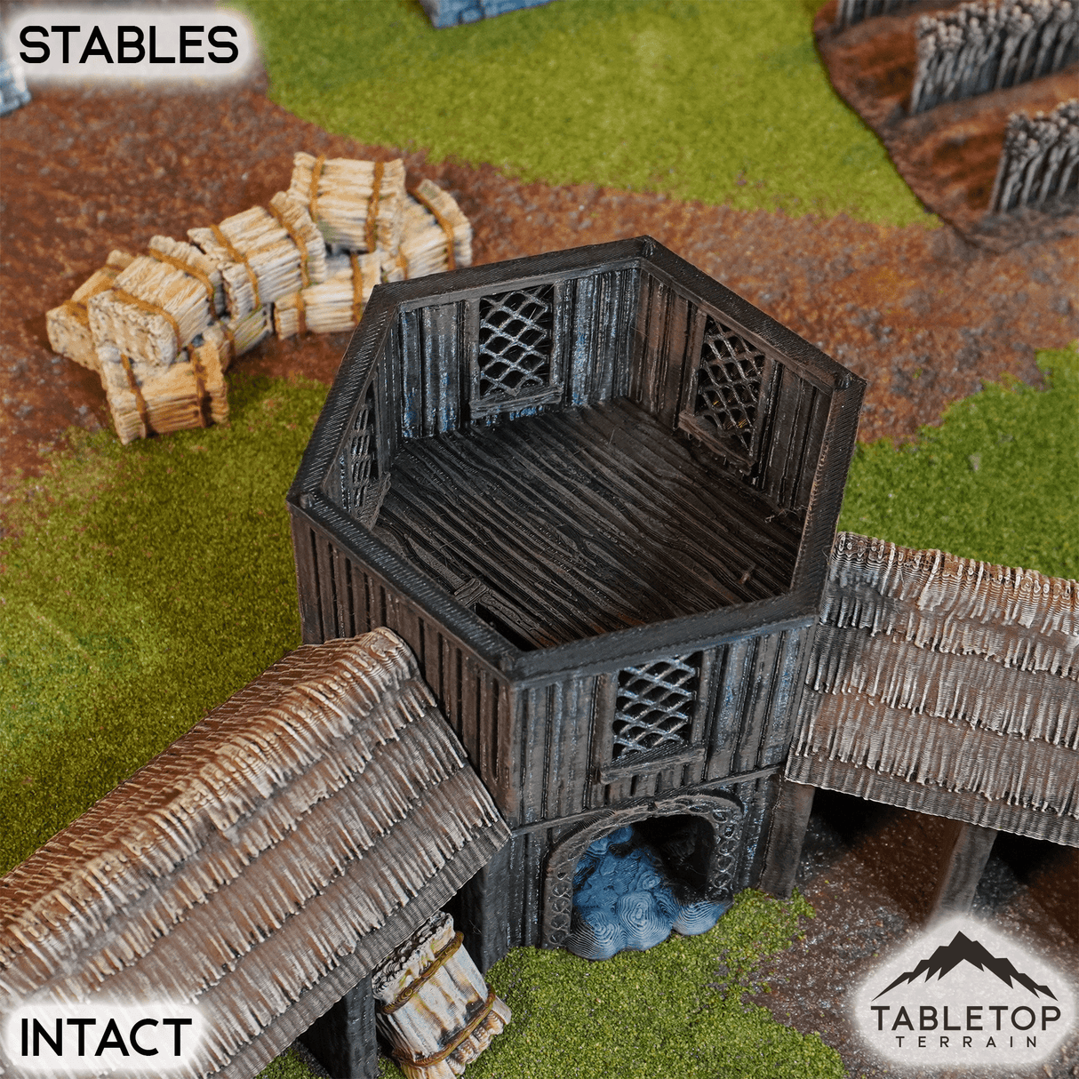 Tabletop Terrain Building Stables - Kingdom of Saxonia