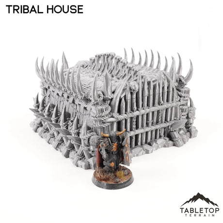 Tabletop Terrain Building Tribal House - Tribal Terrain