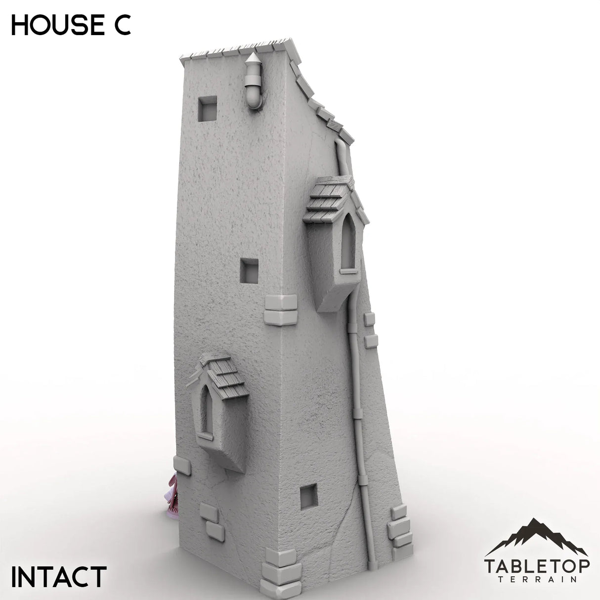 Tabletop Terrain Building Vexed Village - House C