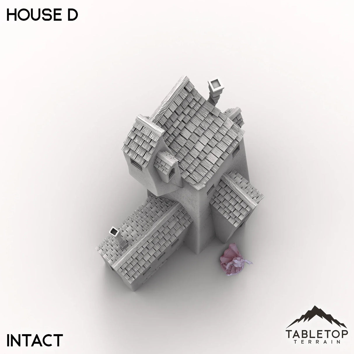 Tabletop Terrain Building Vexed Village - House D