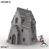 Tabletop Terrain Building Vexed Village - House E