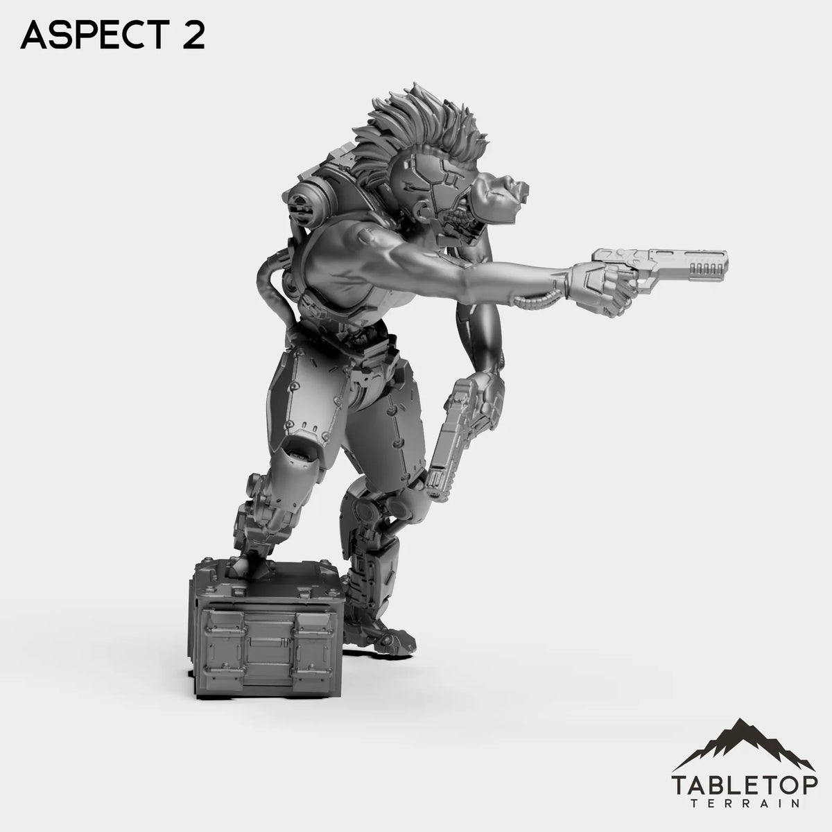 Tabletop Terrain Miniature Aspect - Metal Slammers