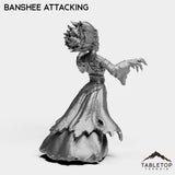 Tabletop Terrain Miniature Banshee