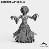 Tabletop Terrain Miniature Banshee Attacking Banshee