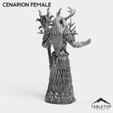 Tabletop Terrain Miniature Cenarion Female