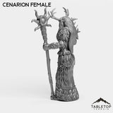 Tabletop Terrain Miniature Cenarion Female