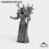 Tabletop Terrain Miniature Cenarion Female
