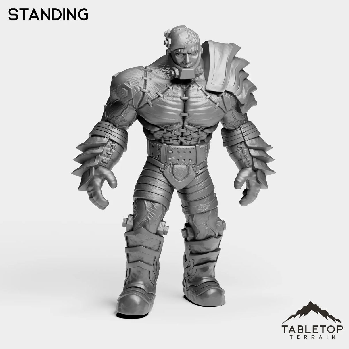 Tabletop Terrain Miniature Construct Leader