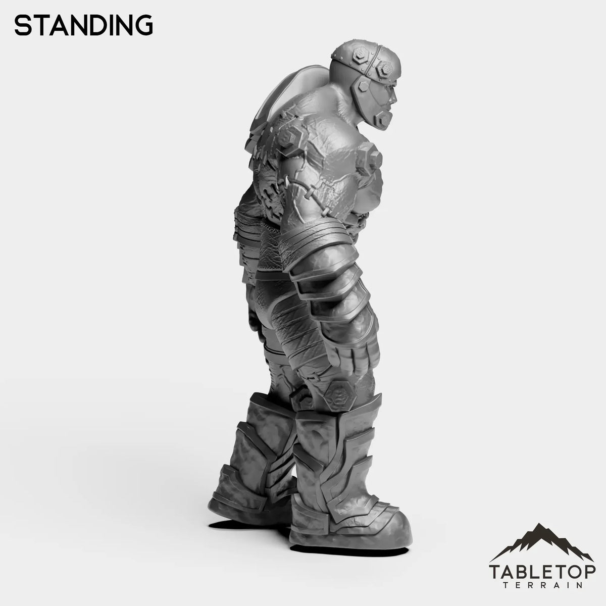 Tabletop Terrain Miniature Construct Leader