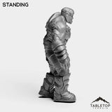 Tabletop Terrain Miniature Construct Leader