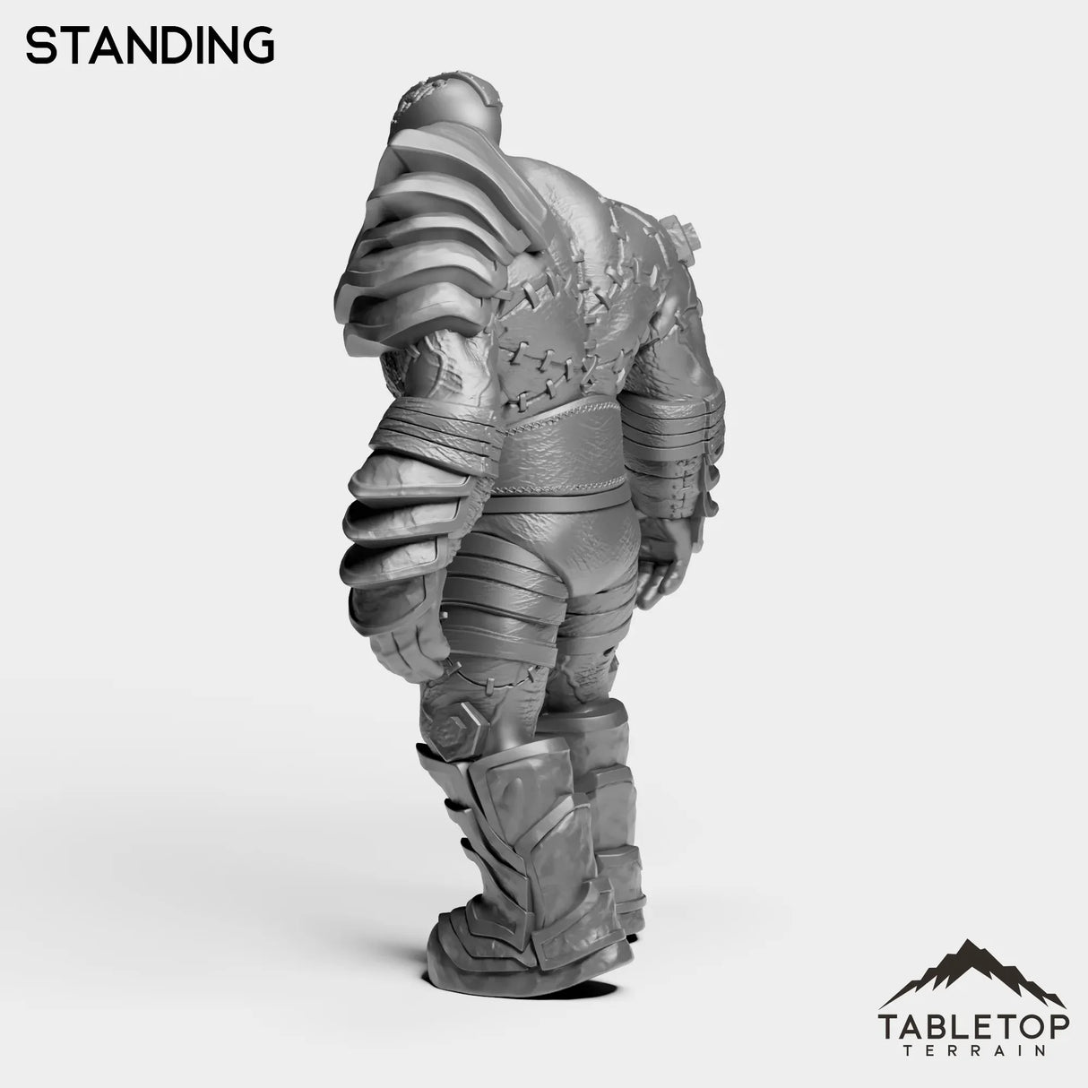 Tabletop Terrain Miniature Construct Leader