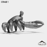 Tabletop Terrain Miniature Crabs