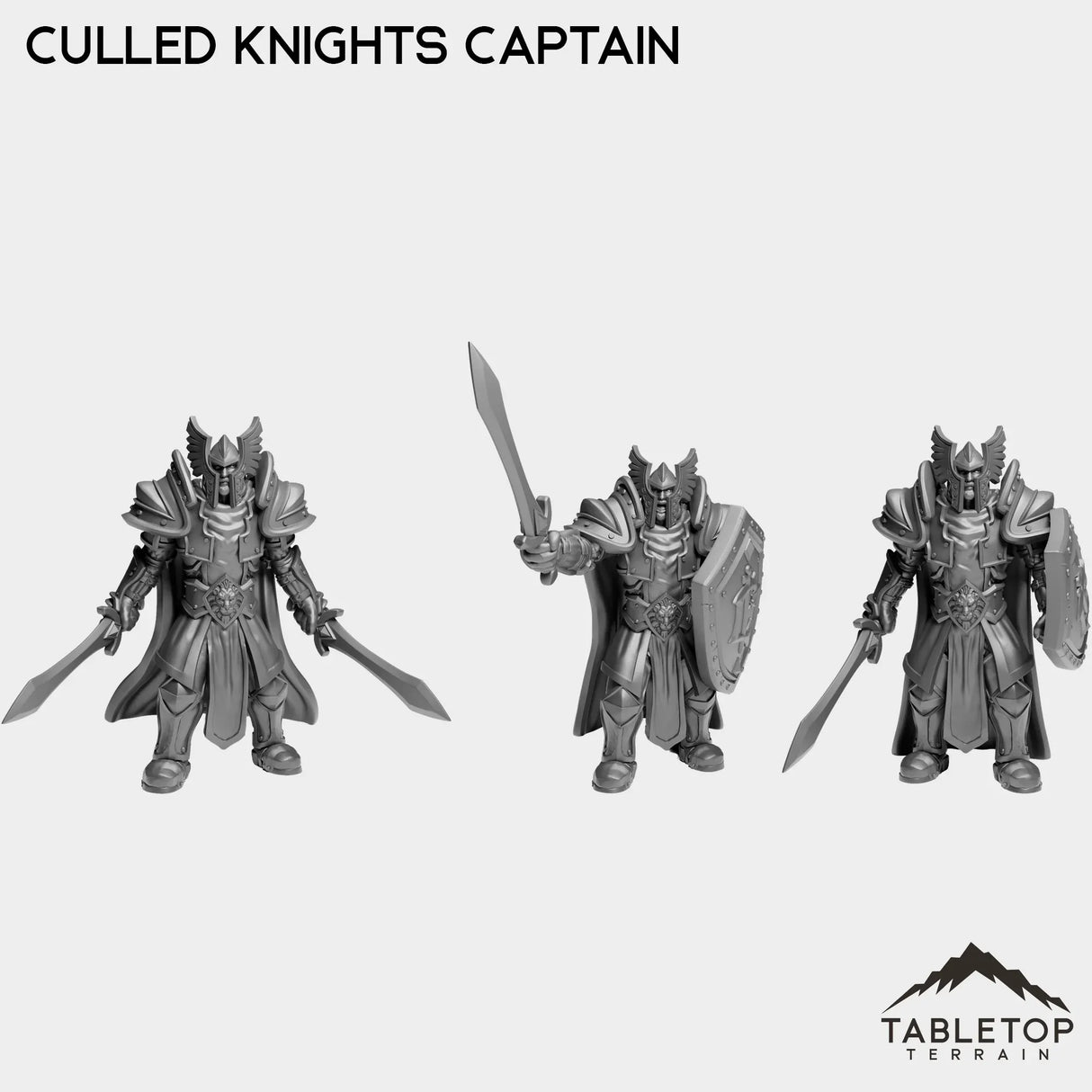 Tabletop Terrain Miniature Culled Knights Captain