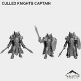 Tabletop Terrain Miniature Culled Knights Captain