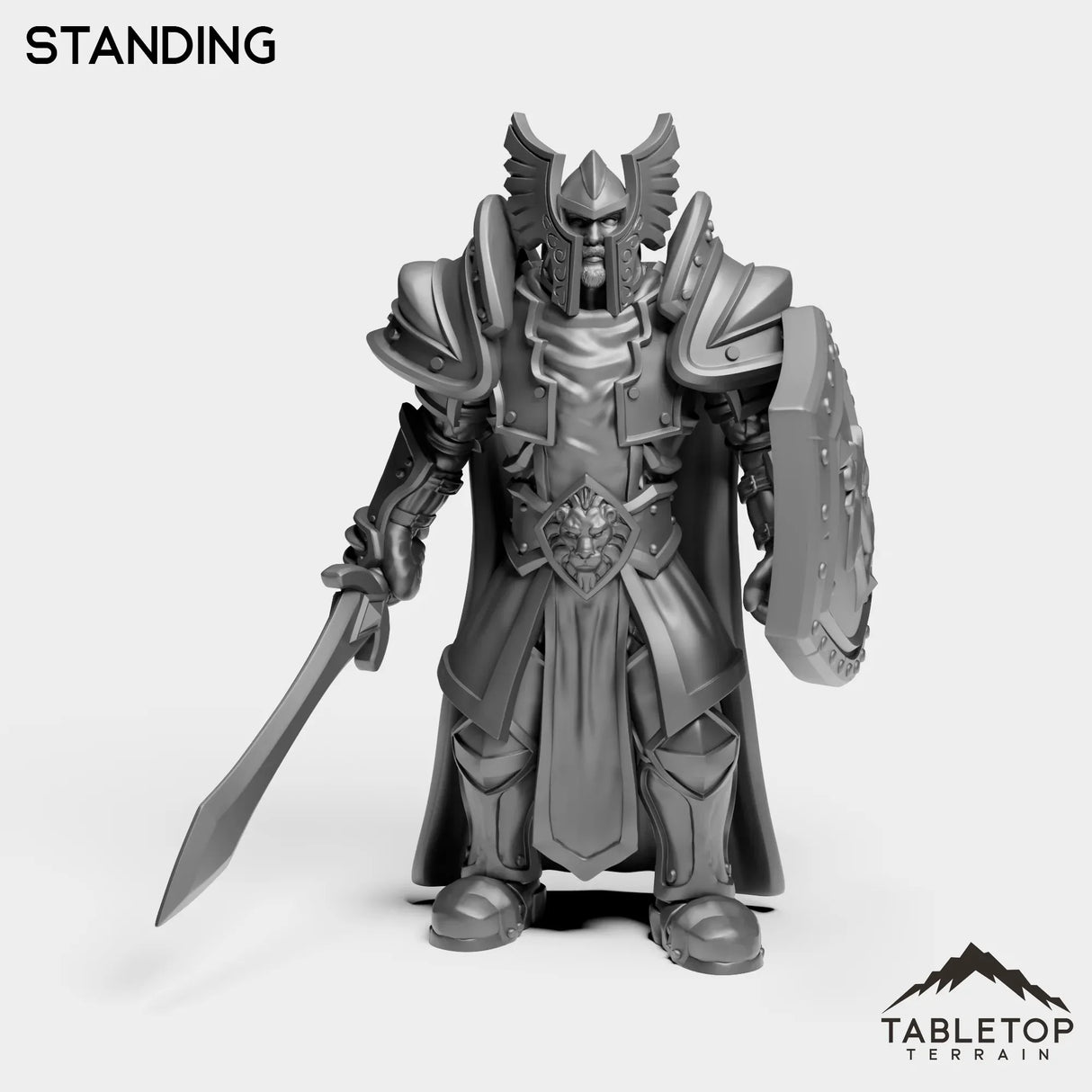 Tabletop Terrain Miniature Culled Knights Captain