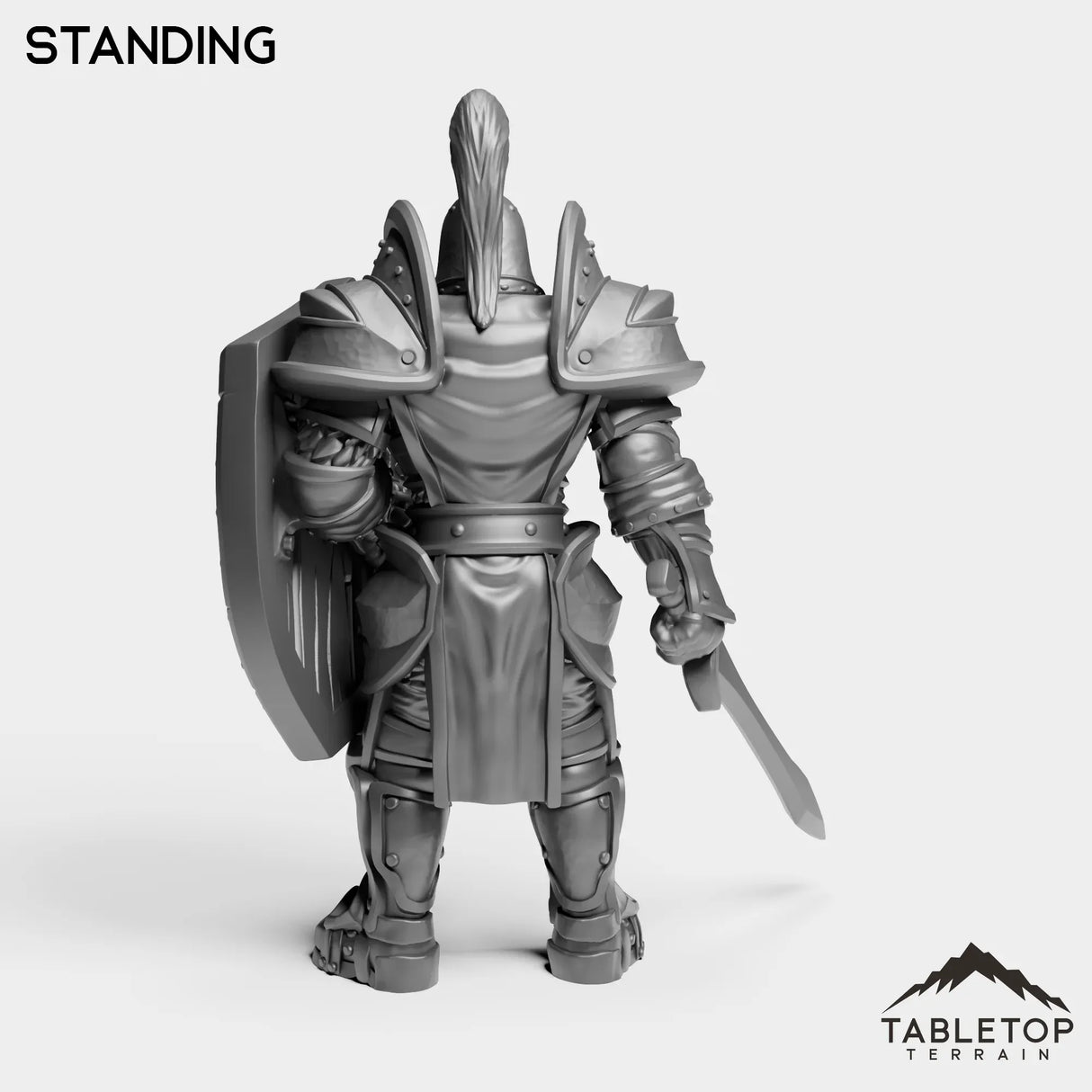 Tabletop Terrain Miniature Culled Knights Footman