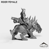 Tabletop Terrain Miniature Darkness First Arcanist Rider