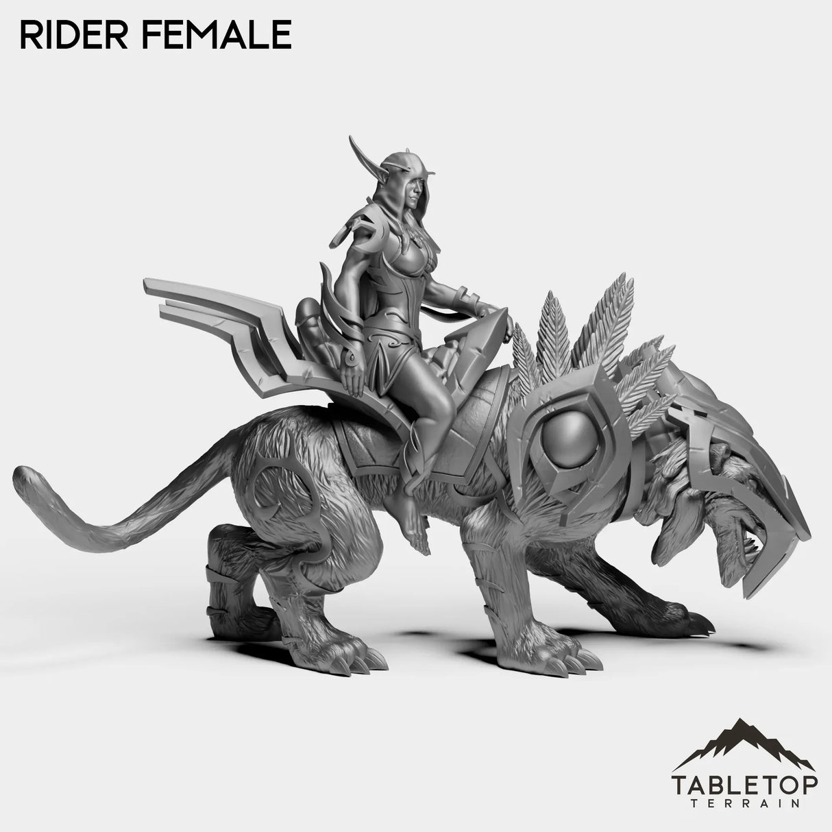 Tabletop Terrain Miniature Darkness First Arcanist Rider