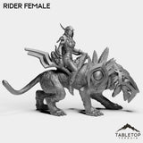 Tabletop Terrain Miniature Darkness First Arcanist Rider
