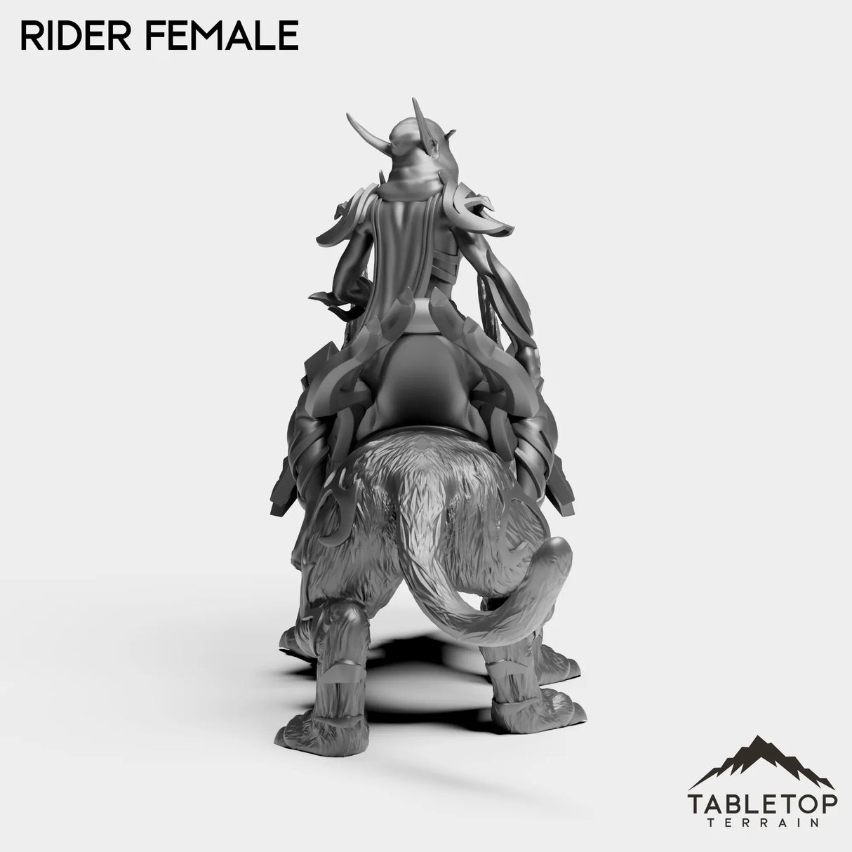 Tabletop Terrain Miniature Darkness First Arcanist Rider