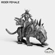 Tabletop Terrain Miniature Darkness First Arcanist Rider