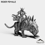 Tabletop Terrain Miniature Darkness First Arcanist Rider