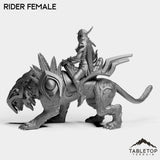Tabletop Terrain Miniature Darkness First Arcanist Rider