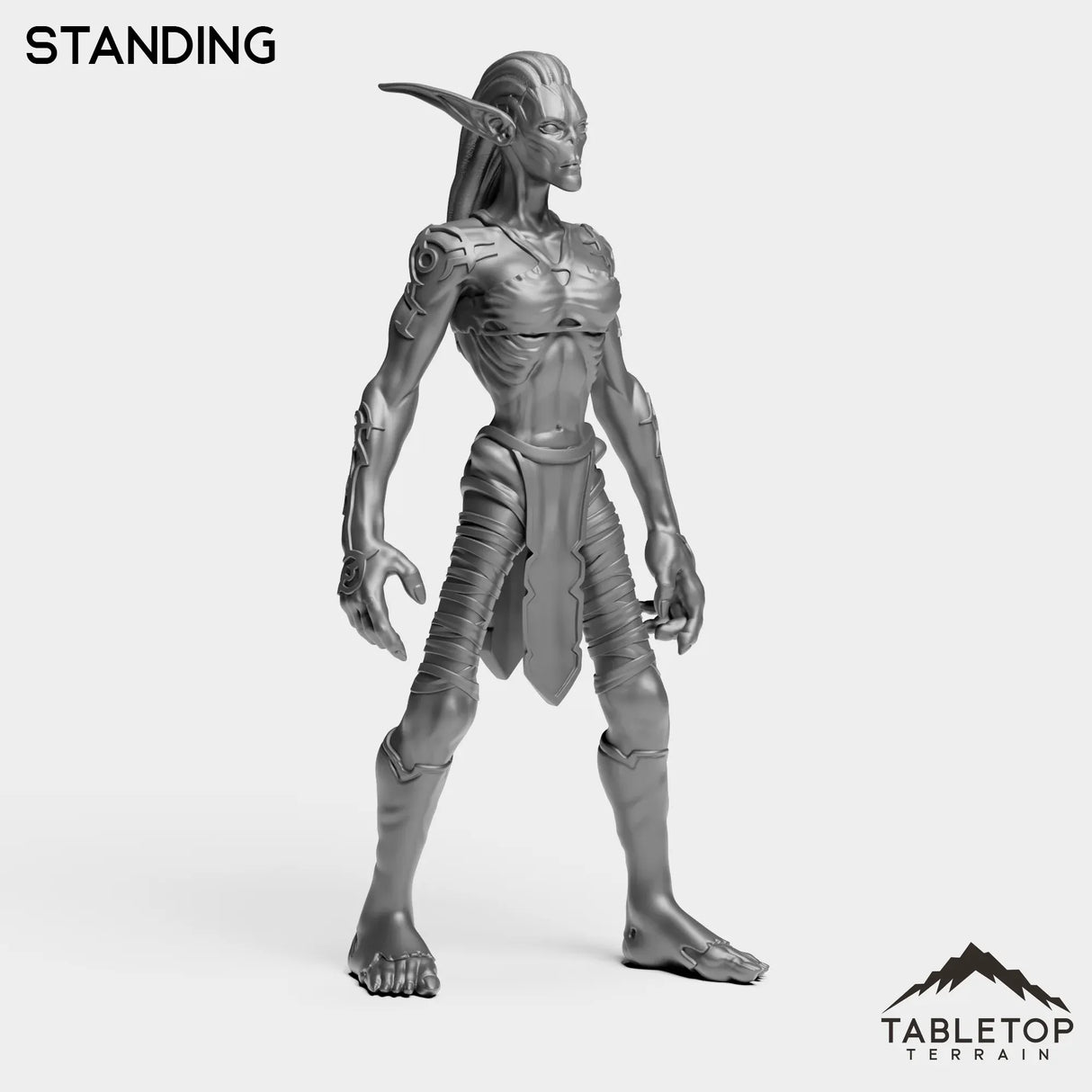 Tabletop Terrain Miniature Darkness Nightfallen Rebel Female