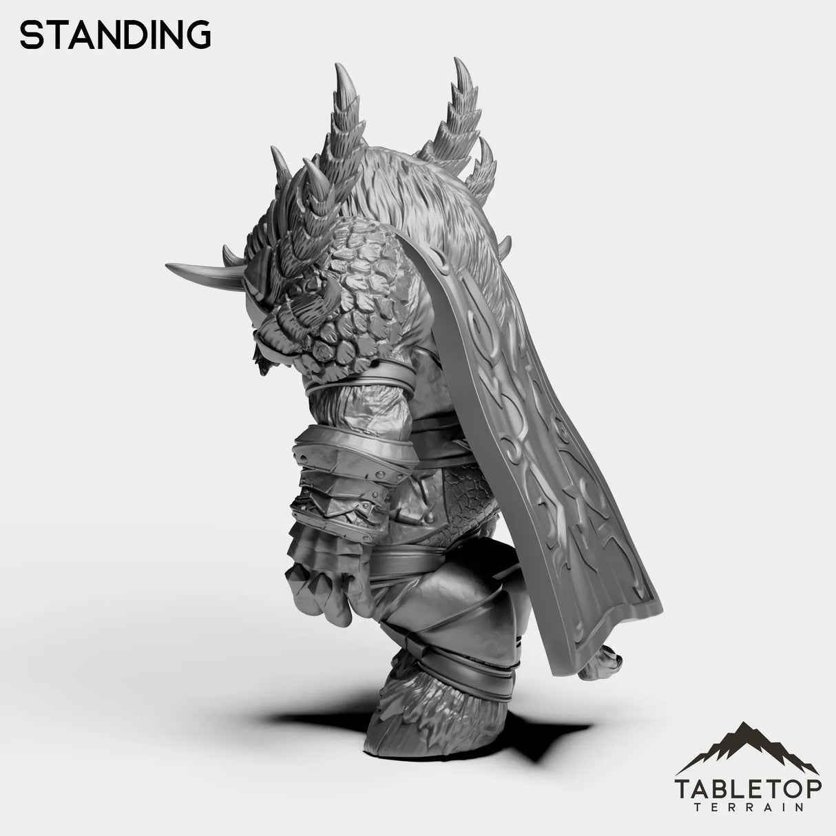 Tabletop Terrain Miniature Drake Master