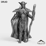 Tabletop Terrain Miniature Druid Night Sentinel Druid Female