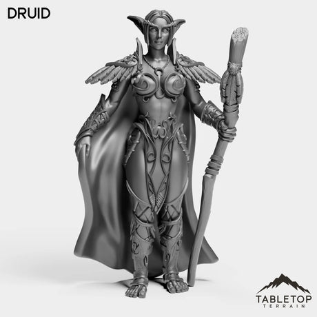Tabletop Terrain Miniature Druid Night Sentinel Druid Female