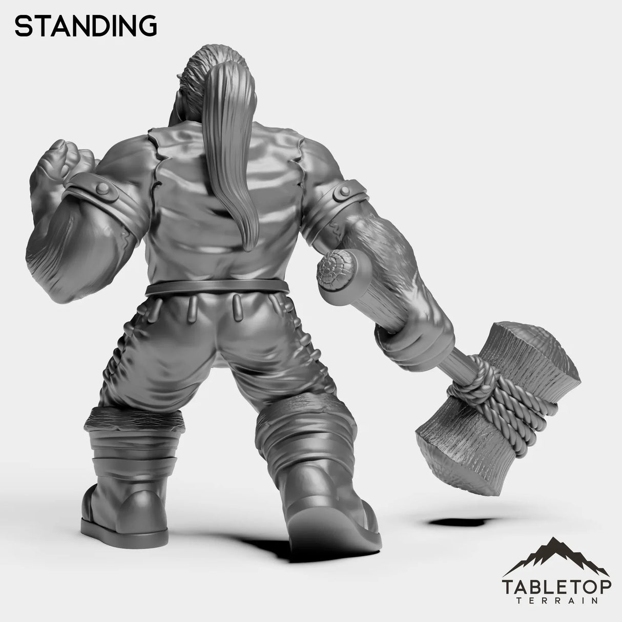 Tabletop Terrain Miniature Dwarf Paladin