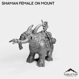 Tabletop Terrain Miniature Exiled Shaman Female on Mount