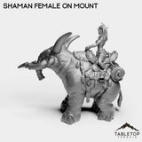 Tabletop Terrain Miniature Exiled Shaman Female on Mount