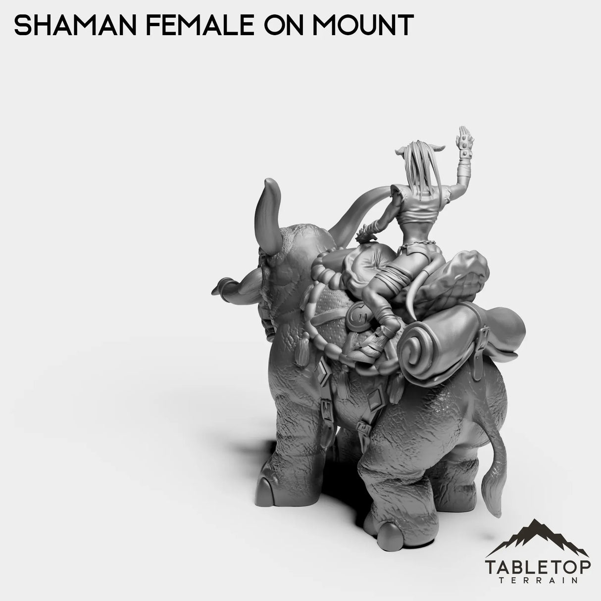 Tabletop Terrain Miniature Exiled Shaman Female on Mount