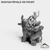 Tabletop Terrain Miniature Exiled Shaman Female on Mount
