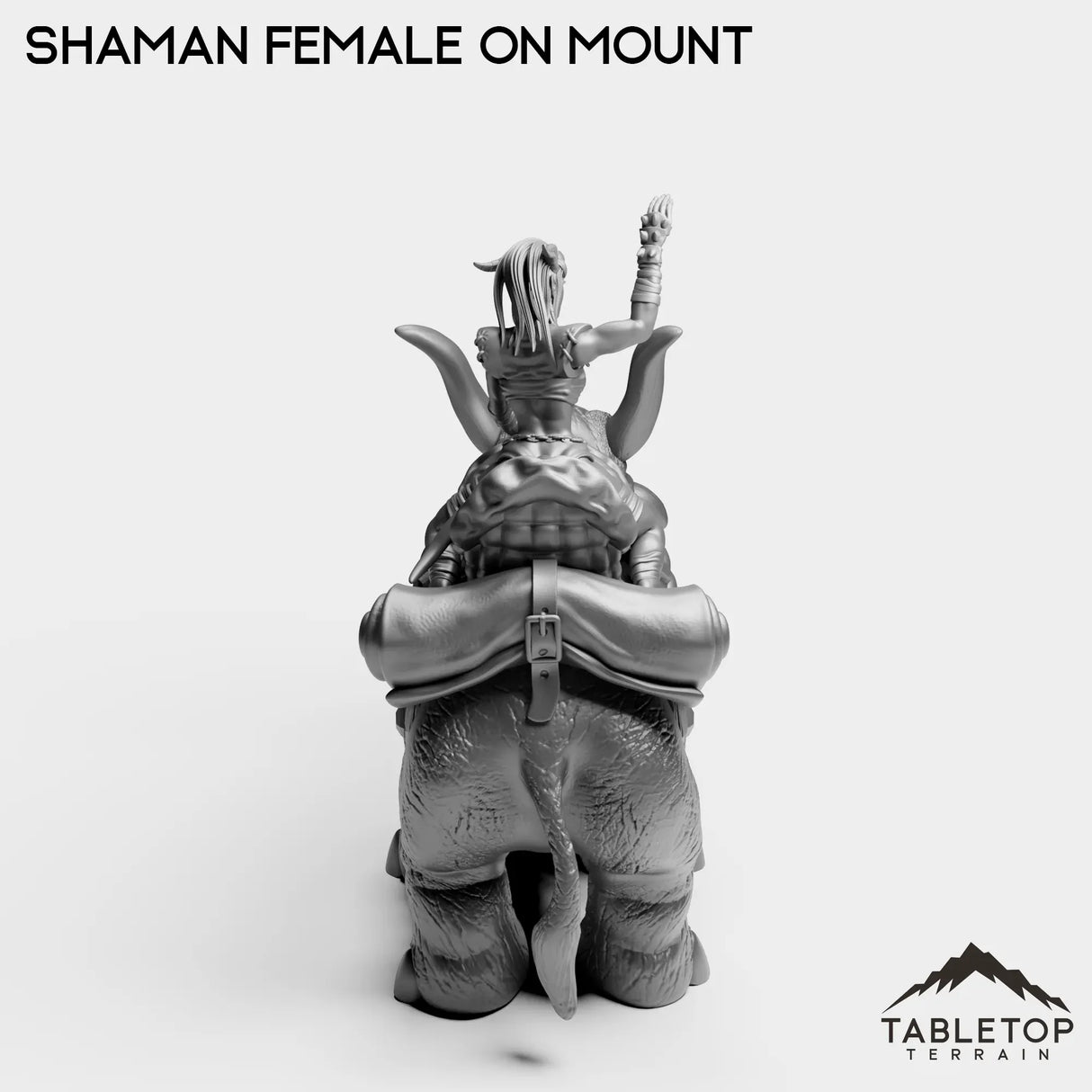 Tabletop Terrain Miniature Exiled Shaman Female on Mount
