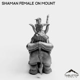 Tabletop Terrain Miniature Exiled Shaman Female on Mount