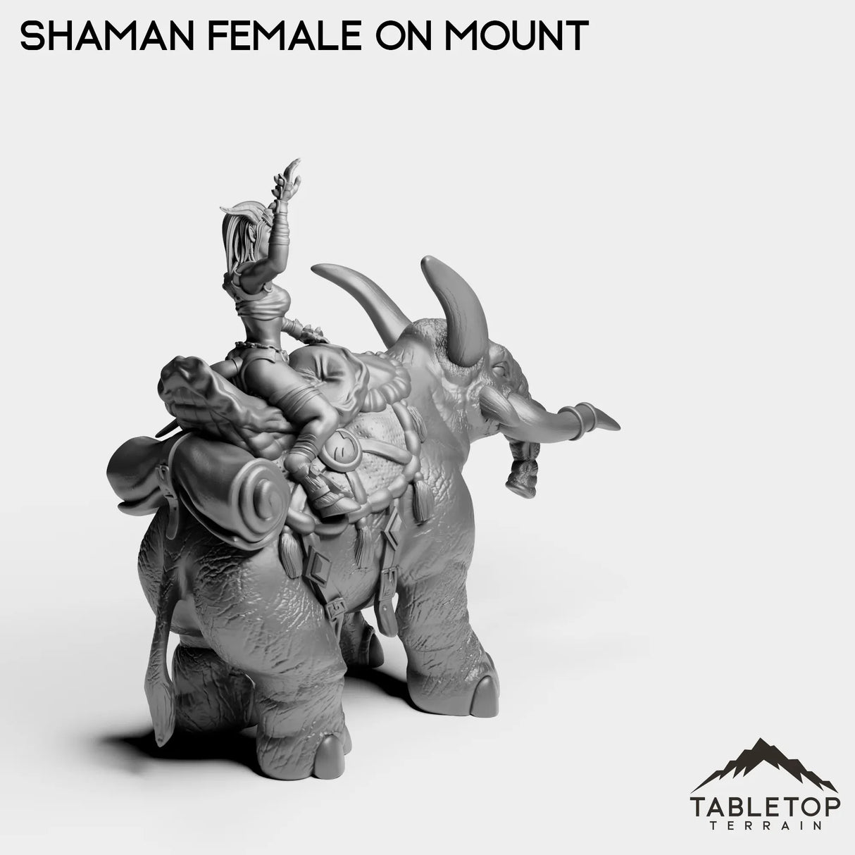 Tabletop Terrain Miniature Exiled Shaman Female on Mount