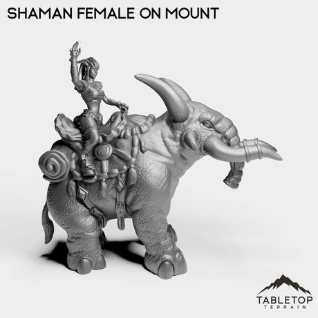 Tabletop Terrain Miniature Exiled Shaman Female on Mount
