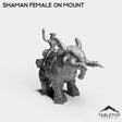 Tabletop Terrain Miniature Exiled Shaman Female on Mount