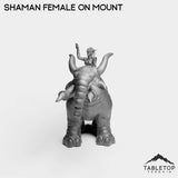 Tabletop Terrain Miniature Exiled Shaman Female on Mount
